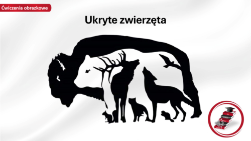 Zobacz, jak prezentują się nasze materiały dydaktyczne